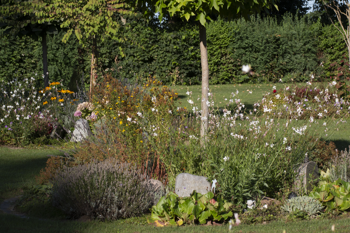 Baumgrab mit Blumen